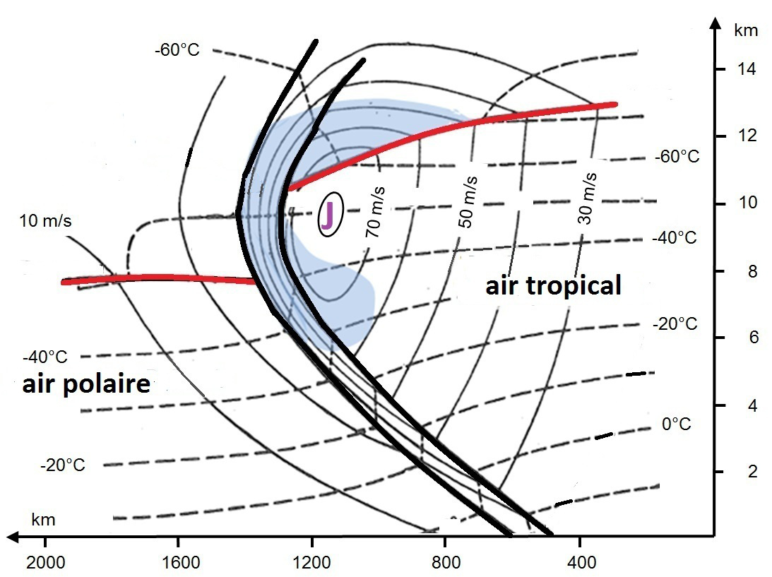 Figure 3. Sur cette figure, le pôle Nord se situe à gauche et l’équateur à droite. Les lignes