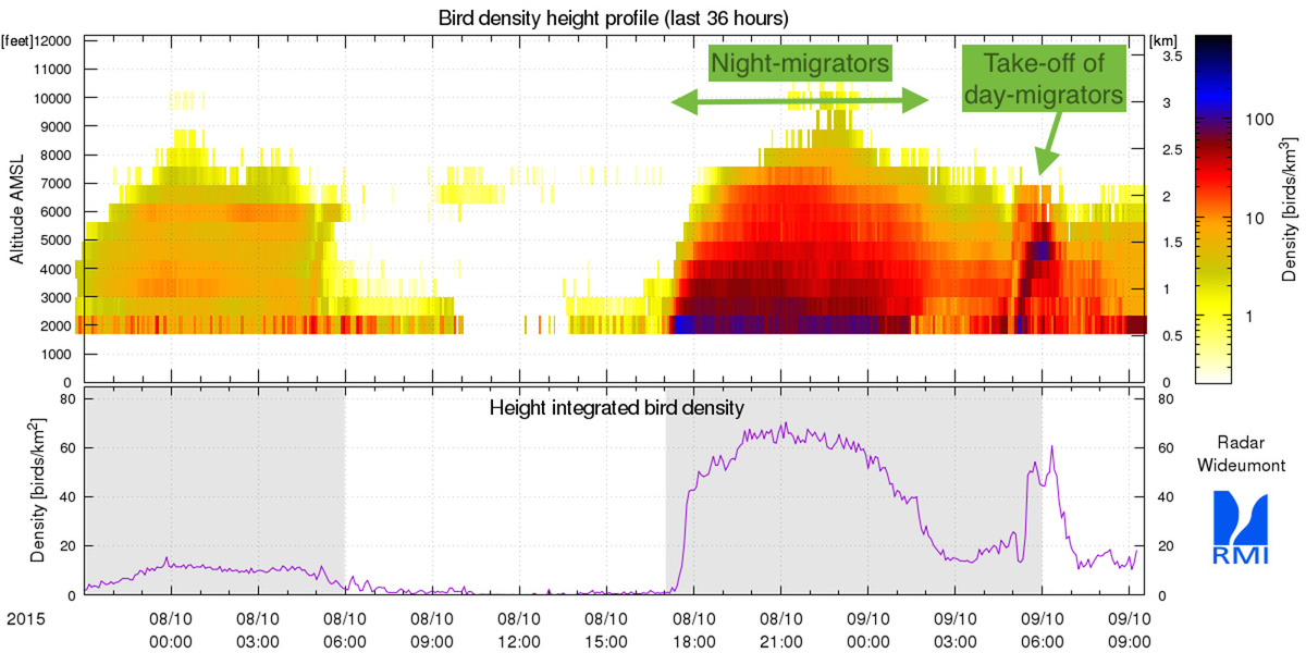 Figure 1 : La densité d’oiseaux (au-dessous) et le nombre total d’oiseaux (en dessous), mesurés par le radar de Wideumont, pendant la période du 07/10/2015 de 23 h temps local, au 09/10/2015, 11h30 temps local. On peut y constater que se produisent aussi bien des envols de jours comme de nuit. Les oiseaux attendent les conditions météo favorables pour s’envoler et cherchent alors l’altitude idéale pour poursuivre leur voyage.