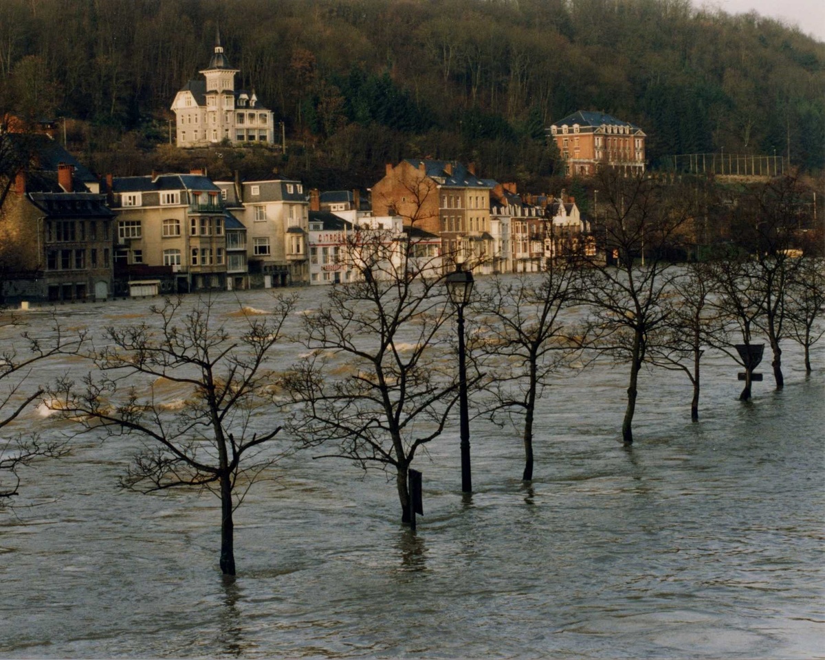 La Meuse à Dinant fin janvier 1995.