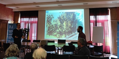 Présentation des apiculteurs sur l'abeille noire