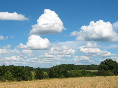 Exemple d’un cumulus médiocris.